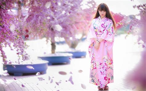 woman wearing floral kimono under cherry blossom hd wallpaper wallpaper flare