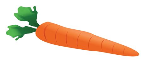 Orange Carrot Cliparts  Clipartix