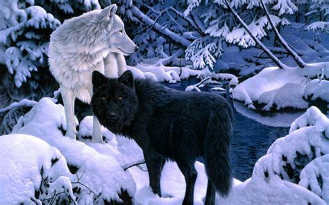 Black Wolf In Snow Wallpapers Wallpaper Cave