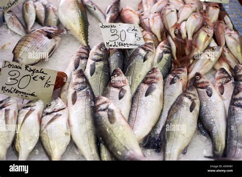 Fresh Fish Stock Photo Alamy