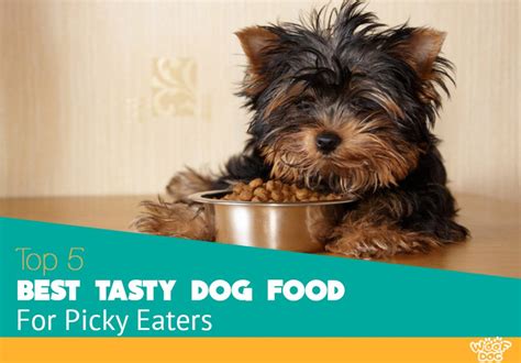 Best Dog Food For Picky Eaters 2020 Reviews And Awards