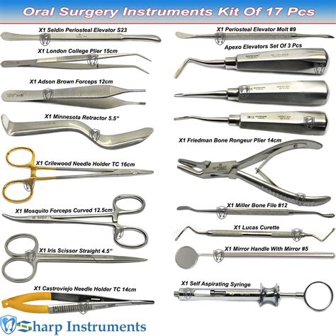 17 Pcs Oral Surgery Instruments Kit Elevator 77r Bone Rongeur Molt Syringe Set Ebay