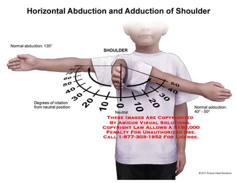 1111208d Horizontal Abduction And Adduction Of Shoulder Anatomy