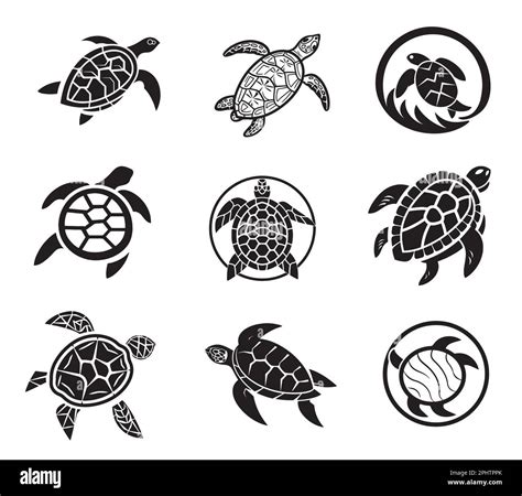 Turtle Set Icons Sketch Hand Drawn Illustration Stock Vector Image