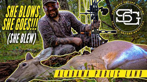 Bow Hunting Public Land Whitetails The Biggest Doe Ive Ever Killed