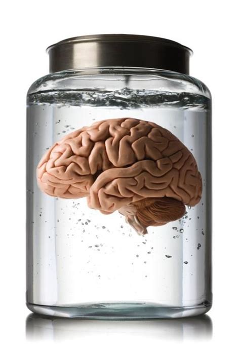 The Mysterious Case Of 100 Missing Brains Jar Brain Brain Nervous