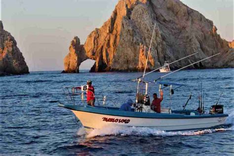Baja California Sur Se Colocó Como El Líder A Nivel Nacional En Pesca