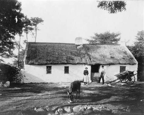 Explore {{searchview.params.phrase}} by color family old Irish farm | Ireland cottage, Irish cottage, Images of ...