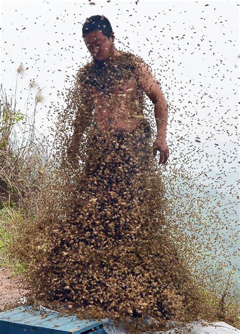 She Ping Chinese Beekeeper Covers Himself With 460000 Bees Photos Huffpost