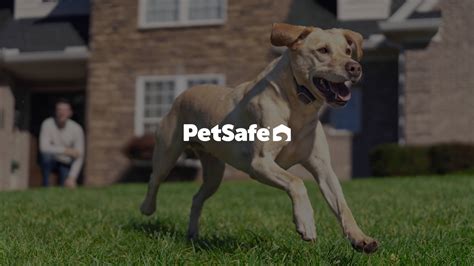 Unleashing a pet-centric e-commerce experience - DEPT®