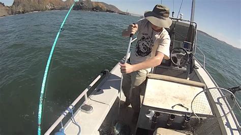 Light Tackle Lingcod Fishing Youtube