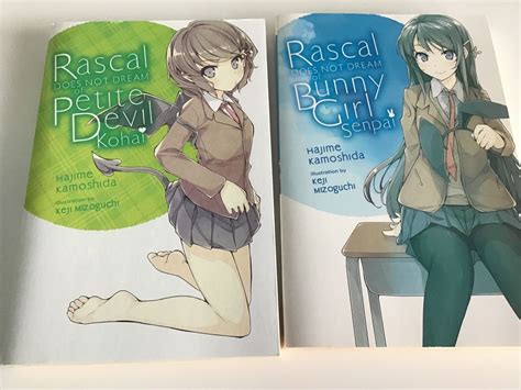 Rascal Does Not Dream Of Bunny Girl Senpai Light Novel Kaufen Auf