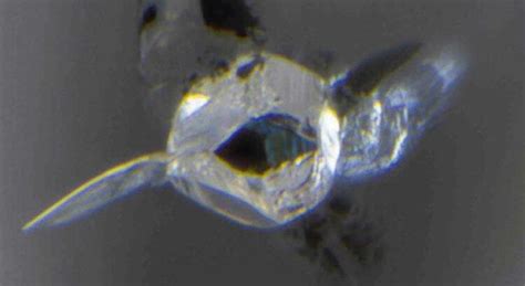 Un diamant révèle un océan dans les profondeurs de la Terre