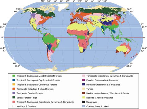 Laboratory 9 Climate And The Distribution Of Biomes And Soils