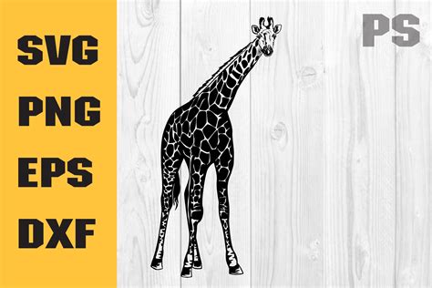 Giraffe Svg Wild Life Svg Zoo Svg Graphic By Ilukkystore · Creative