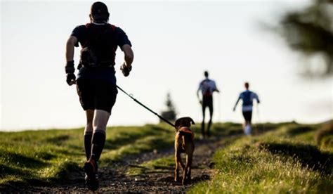 What Breed Of Dog Is Best For Running