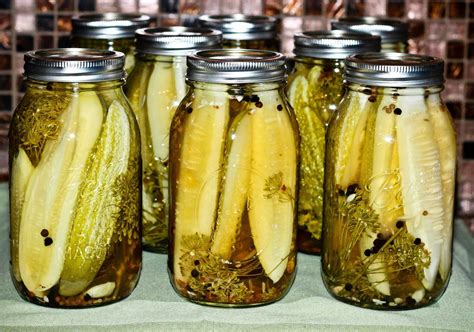 The Best Classic Kosher Dill Pickle Recipe Pickling Recipes Dill