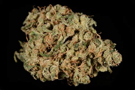 Durban Poison Weed Strain Everything You Need To Know Thrillist