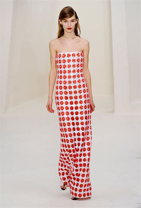 Raf Simonss 50 Best Dior Runway Looks And Red Carpet Gowns Stylecaster