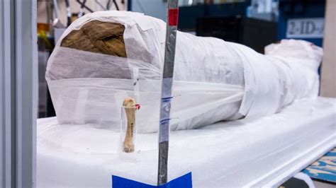 researchers used advanced x rays to reveal secrets of an ancient egyptian mummy—without