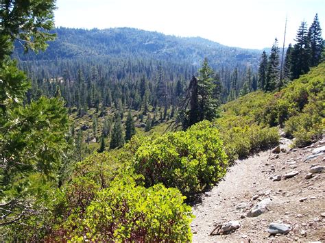 Best Hikes In Plumas National Forest Ca Trailhead Traveler