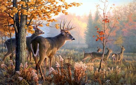 Free Download 67 Deer Wallpapers On Wallpaperplay 1920x1080 For Your