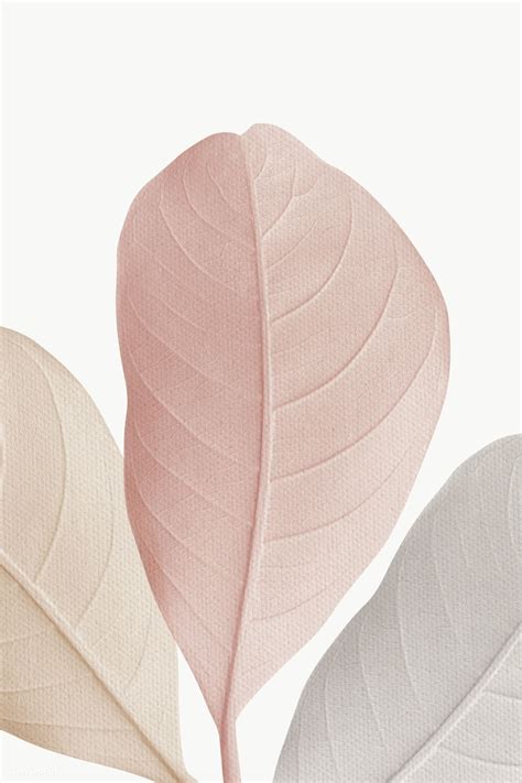 Closeup Of Pastel Leaves Texture Design Element Free Image By