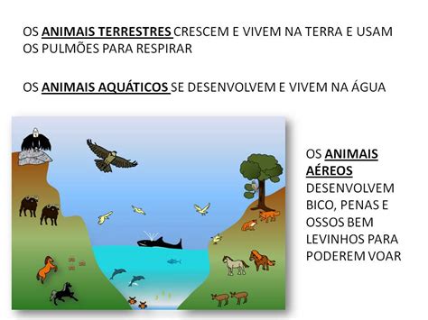 Animais Terrestres Aéreos E Aquáticos