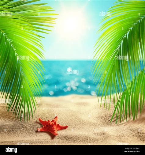 Beautiful Tropical Beach Background Summer Landscape With Coco Palms