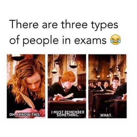 17 trollish instagram memes that make fun of all the bs. 12 REALISTIC Memes For Students Who Struggle With Exam Prep