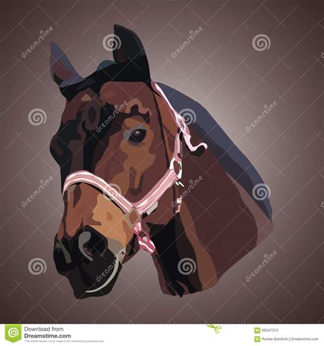 Horse Head Stock Illustration Illustration Of Equestrian 66347312
