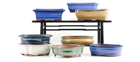 Glazed Ceramic Bonsai Pots Bonsai Tree Pty Ltd