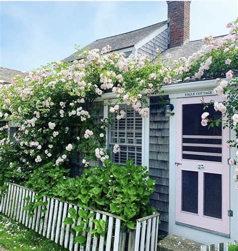 Pink Rose Covered Cottage Nantucket Coming Up Roses Rose Garden
