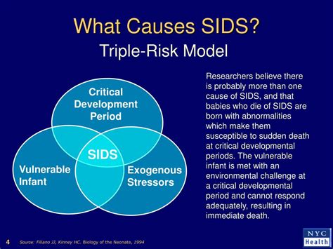 PPT - Strategies for SIDS Risk Reduction PowerPoint Presentation, free download - ID:760251