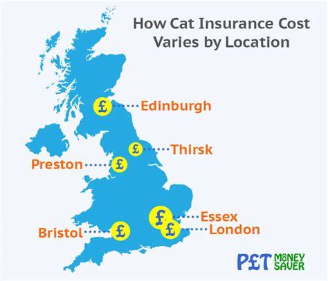 The best cat insurance could save you thousands of dollars over the course of your cat's life, giving you both peace of mind and a happier wallet. How Much is Cat Insurance? | PetMoneySaver