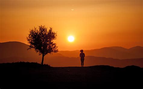 Download Wallpaper 2560x1600 Silhouette Sunset Tree Loneliness