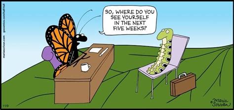 Butterfly Interview Funny Animal Comics Funny Animals Thursday Humor