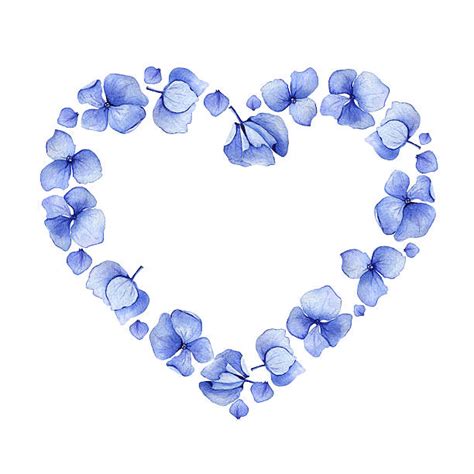 Recently added 30+ blue watercolor heart images of various designs. Blue Watercolor Hydrangea Floral Heart Design ...