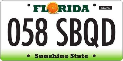 Floridas New License Plates State Asks Drivers To Vote On Designs