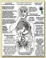 Consequences Of Smoking Marijuana Images