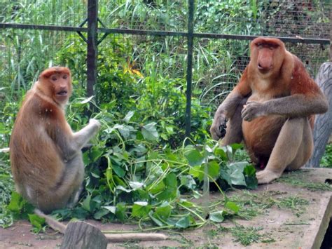 Waktu lokal saat ini di kota kinabalu adalah 9 menit lebih dulu waktu. Jalan-jalan di Kota Kinabalu - Findbulous Travel