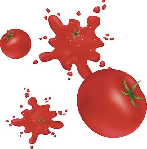 580 Splattered Tomato Stock Illustrations Royalty Free Vector