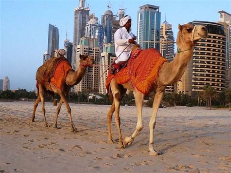 أفضل 10 الاماكن السياحية في دبي للعائلات ننصحكك بزيارتها