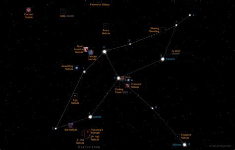 Cygnus Star Map