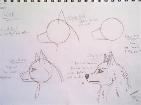 How To Draw A Cartoon Wolf By Angelfyredarkwolf On Deviantart