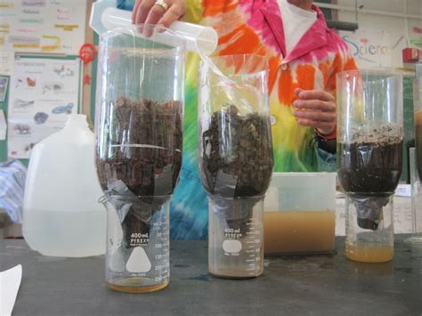 Water Filtration Science Experiment