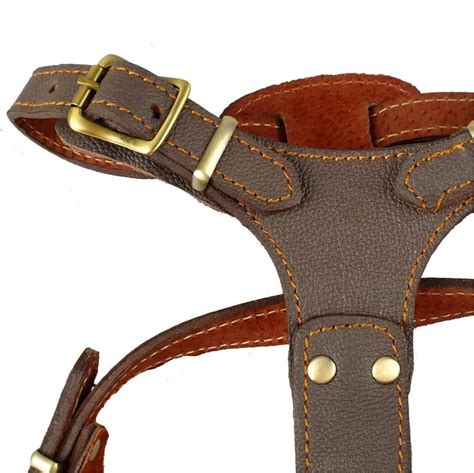 Leather Dog Harness Welcome To Petzone