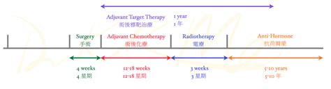 Breast Cancer Treatment Timeline2 Breast Cancer Hk 香港的乳癌治療資訊