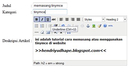 Cara Memasang Dan Menggunakan Tinymce Text Editor Di Website