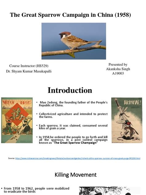 A19003 The Great Sparrow Campaign Hs52911 Pdf Agriculture Nature
